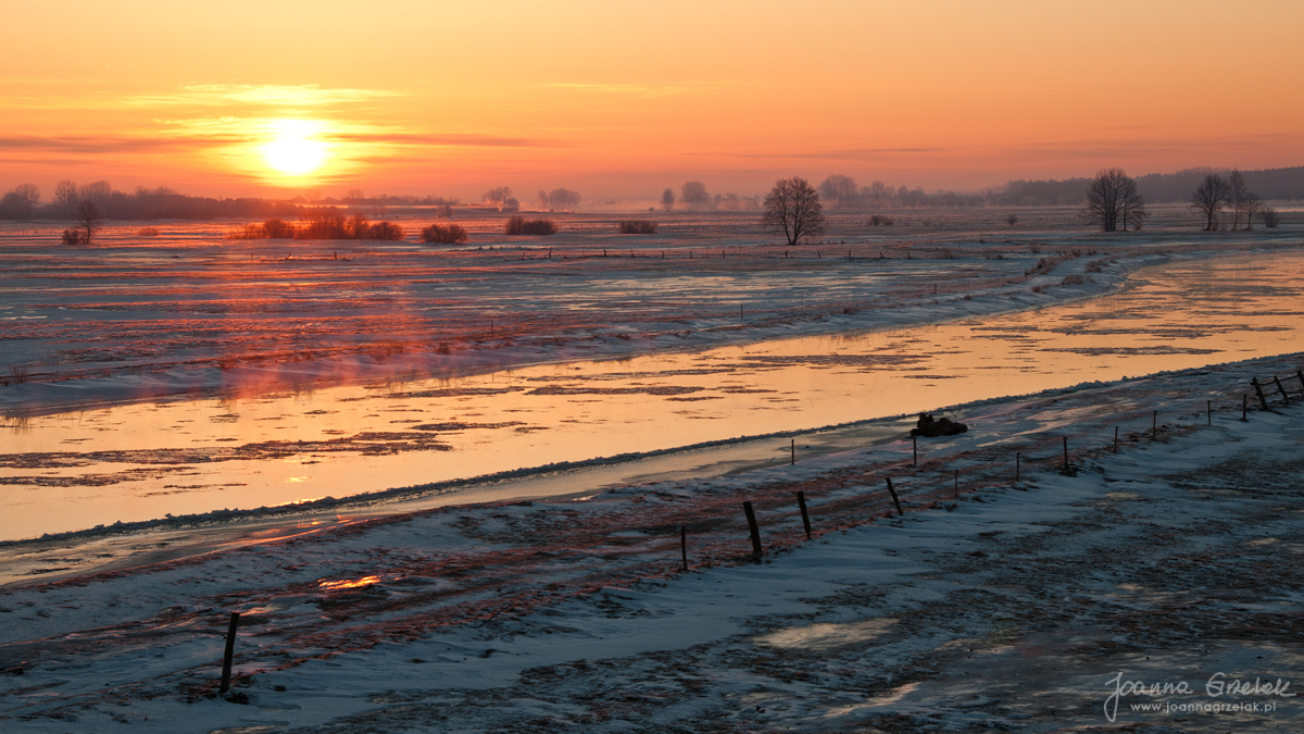 062_Biebrza - marzec 2013.jpg